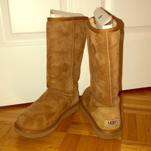 Tall chestnut Uggs
